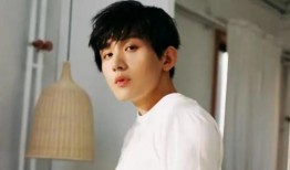 天涯真实爆料成毅视频,揭秘天涯爆料背后的真实故事